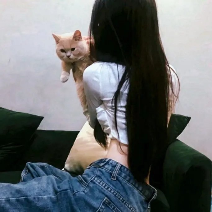 再见，在也不见海报