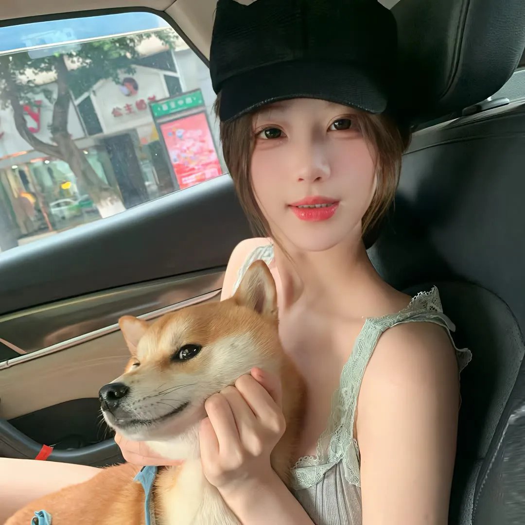 百合熊风暴海报
